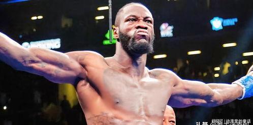 拳王维尔德最新爆料,拳坛传奇背后的不为人知故事