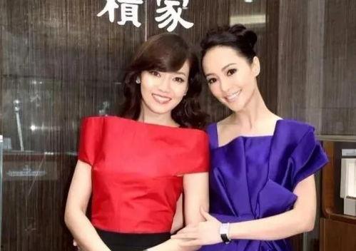 名媛最新爆料视频,豪门背后的惊人真相